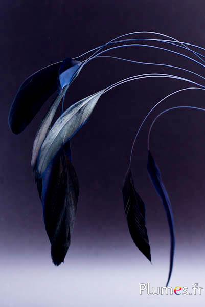 Coquetip - 28-32 cm - bleu nuit-noir